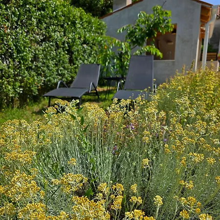 Vila House Brnistra Rakalj